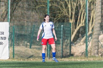 Bild 233 - F Hamburger SV 3 - Blau-Weiss 96 : Ergebnis: 5:1